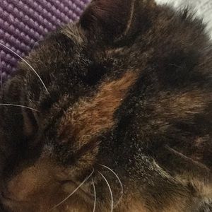 Meet your Posher, Debra